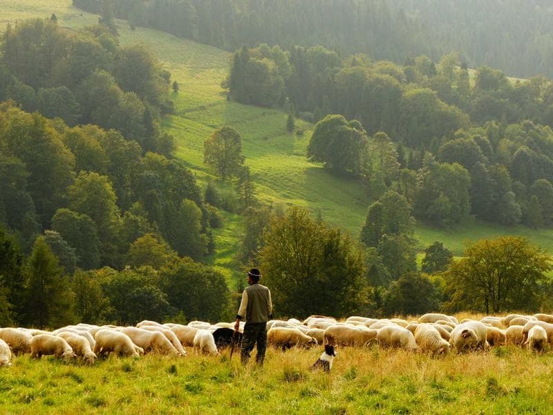 Camino de Santiago