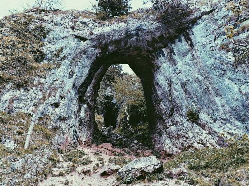 El Gran Circo