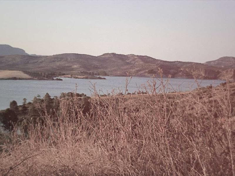 'Trabajos del hierro en el Románico'