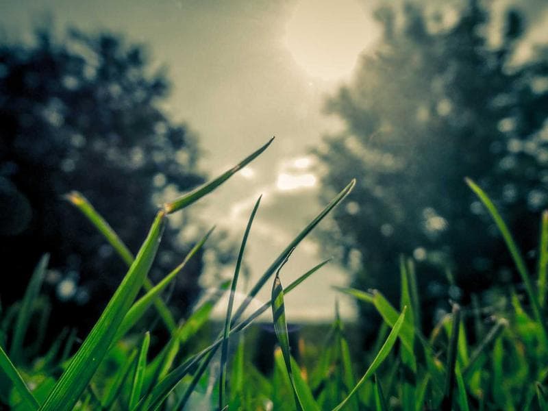 ¿Qué te dice esa naturaleza?. Pase 6 de junio